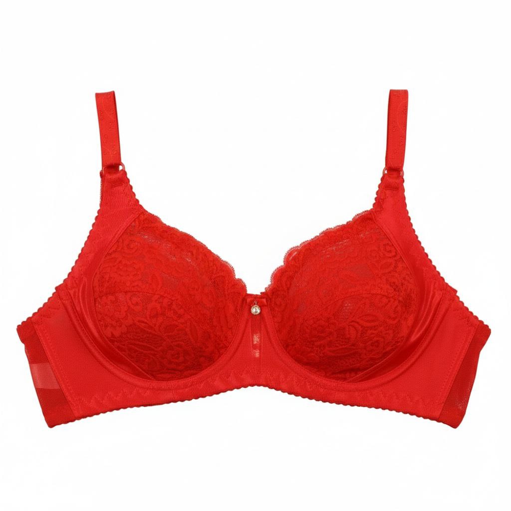 #208 - Underwired Lace Bra with Side Bone Support