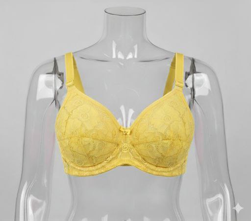 #204- Sunshine sheer Lace Underwired Bra