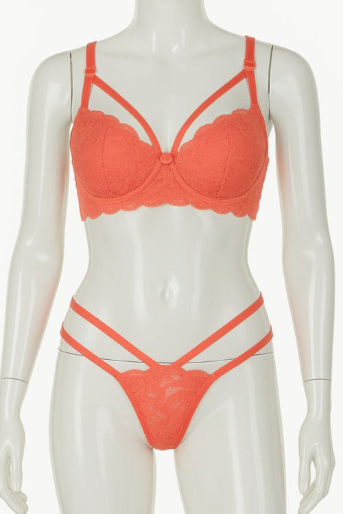 #306 - Harness Lace Bra & Panties Set