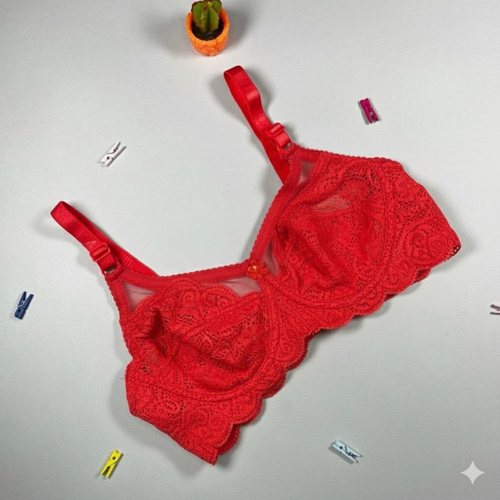 #209 - Underwired Sheer Lace Trim Bra