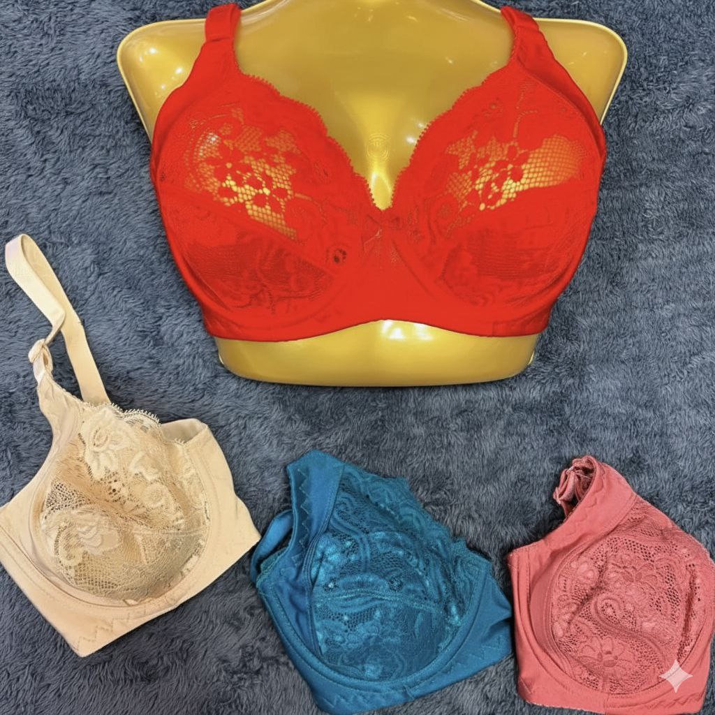 #208 - Underwired Lace Bra with Side Bone Support